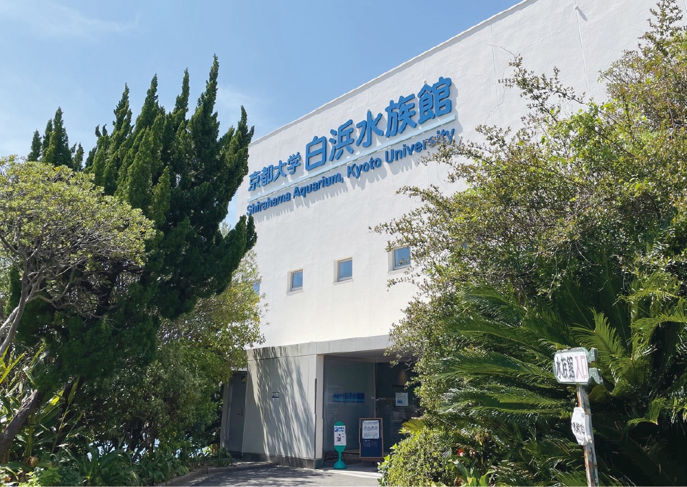 番所山公園