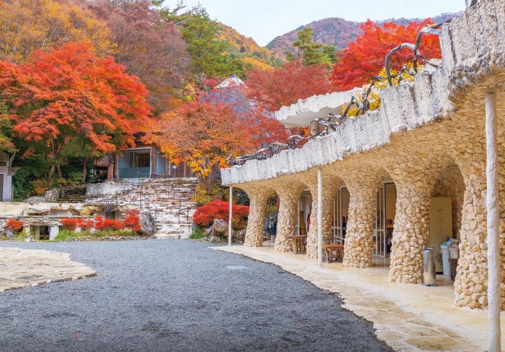 紅葉の間からピラミッドの頂点を覗かせる本館（写真奥）と、琉球石灰岩を手積みした8本の円柱が印象的な新館（写真手前）