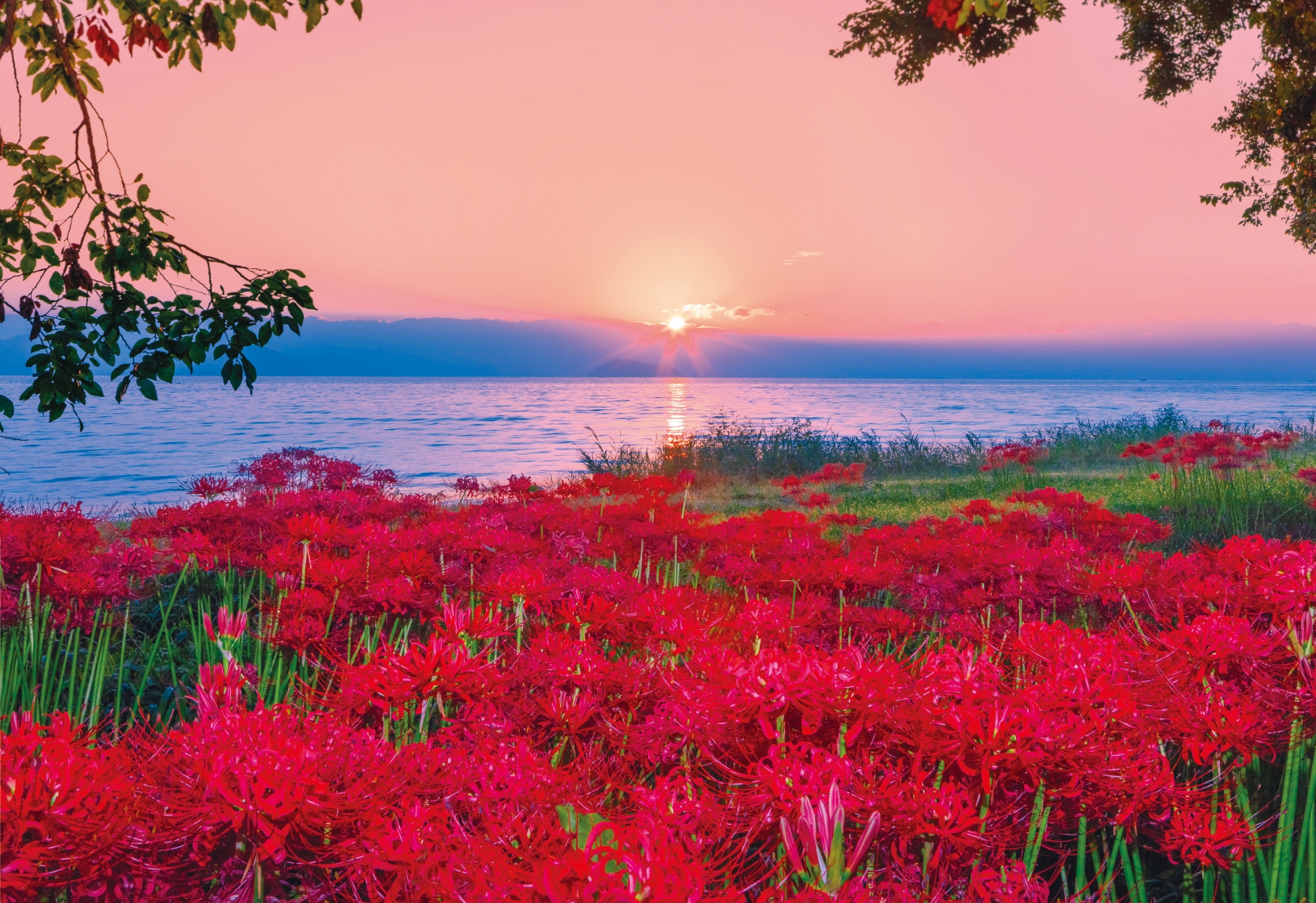 深紅をまとう秋の湖畔
